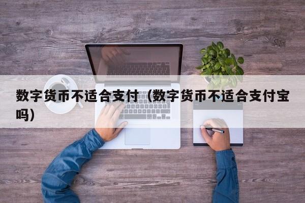 数字货币不适合支付（数字货币不适合支付宝吗）