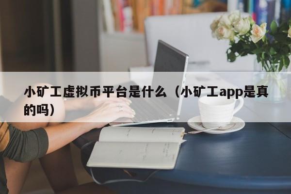 小矿工虚拟币平台是什么（小矿工app是真的吗）