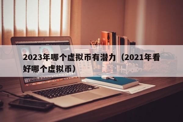 2023年哪个虚拟币有潜力（2021年看好哪个虚拟币）