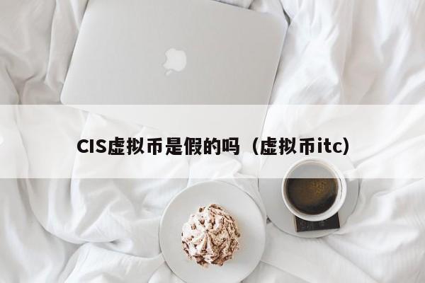 CIS虚拟币是假的吗（虚拟币itc）