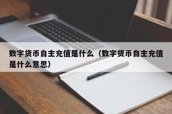 数字货币自主充值是什么（数字货币自主充值是什么意思）