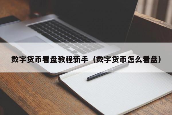 数字货币看盘教程新手（数字货币怎么看盘）