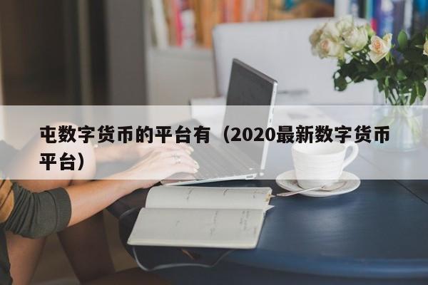 屯数字货币的平台有（2020最新数字货币平台）