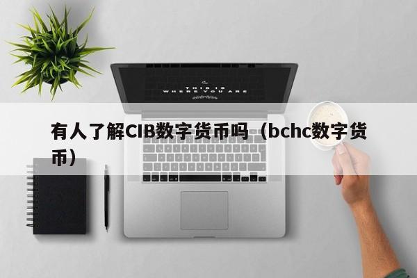 有人了解CIB数字货币吗（bchc数字货币）