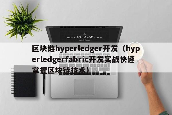 区块链hyperledger开发（hyperledgerfabric开发实战快速掌握区块链技术）